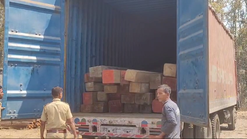 Siliguri ||Smuggler arrested with teak wood worth Rs 12 lakh