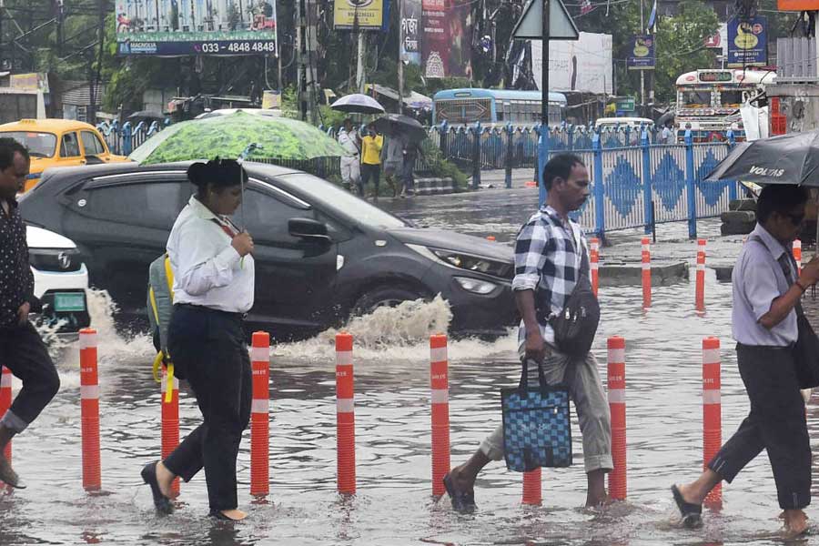 Cyclone Remal: Three people injured in Kolkata, traffic disrupted due to falling trees